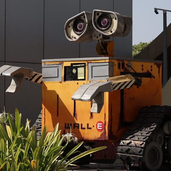 vlcsnap-2024-04-16-16h05m23s025